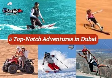 5 Top-Notch Adventures in Dubai