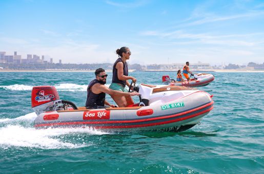 Dubai Self Drive Boat Price - Sea Life Watersports