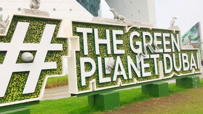 Rainforest in Dubai - The Green Planet Dubai