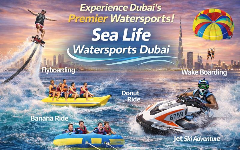 Top Activities for Thrill-Seekers Visiting This Winter