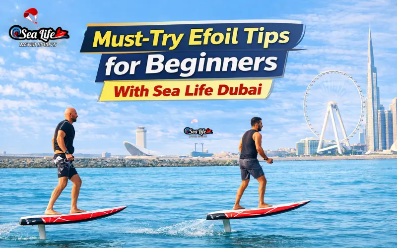Must-Try Efoil Tips for Beginners With Sea Life Dubai