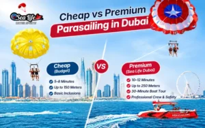Cheap vs Premium Parasailing in Dubai